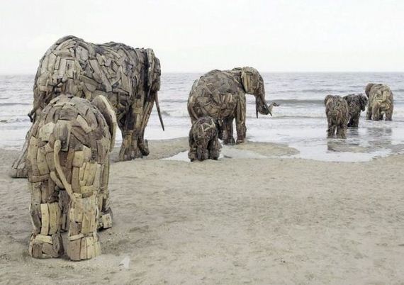 funny-pictures-989