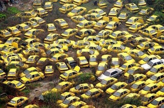 funny-pictures-989