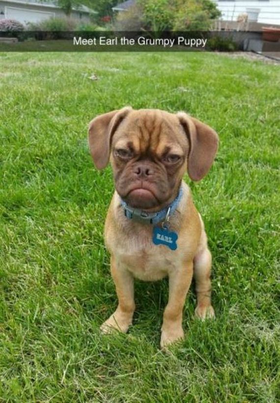 funny-pictures-990