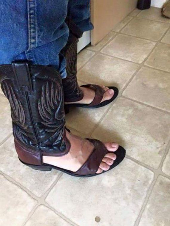 funny-pictures-990