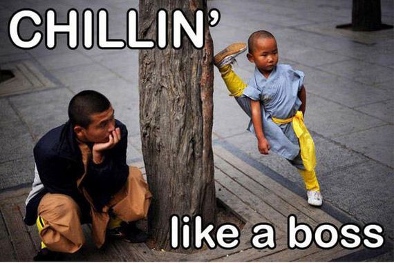 funny-pictures-991