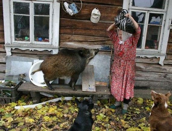 funny-pictures-992