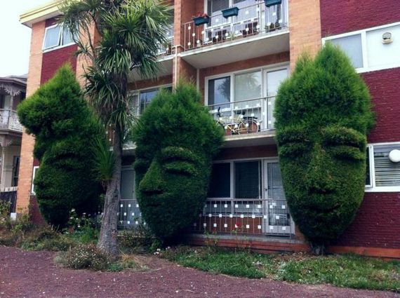 funny-pictures-992