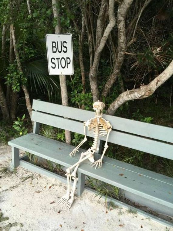 funny-pictures-992