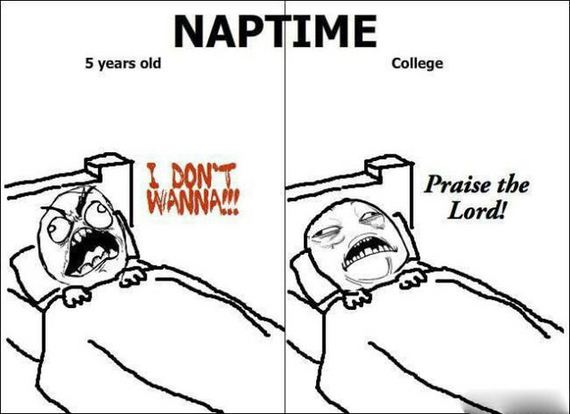 funny-pictures-994