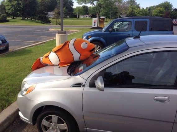 funny-pictures-994