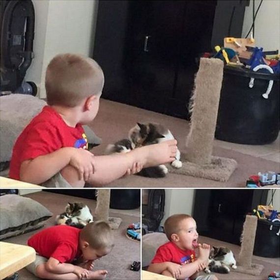 funny-pictures-994