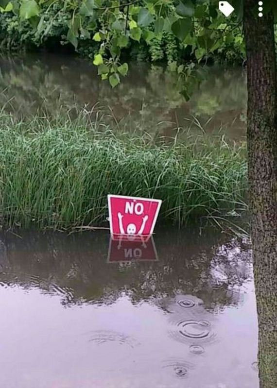 funny-pictures-994