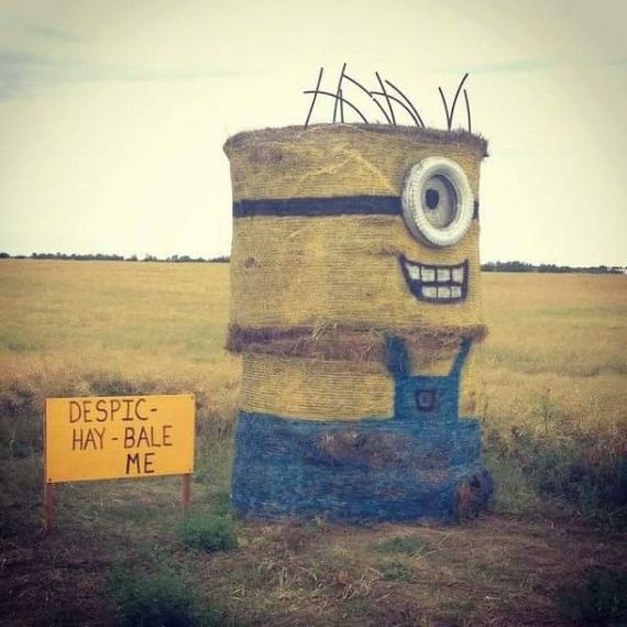 funny-pictures-994