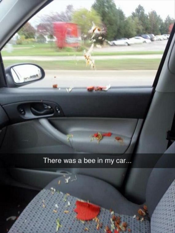 funny-pictures-994