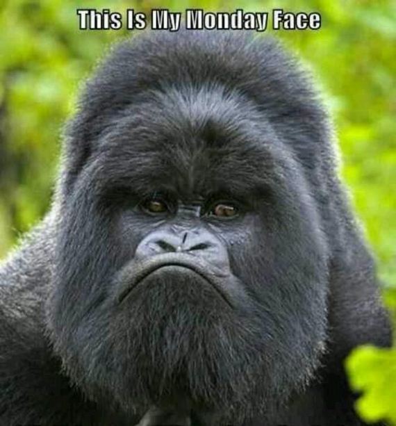 funny-pictures-995