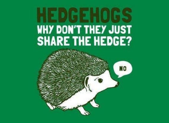 funny-pictures-995