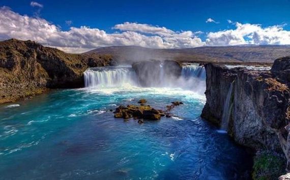 funny-pictures-995