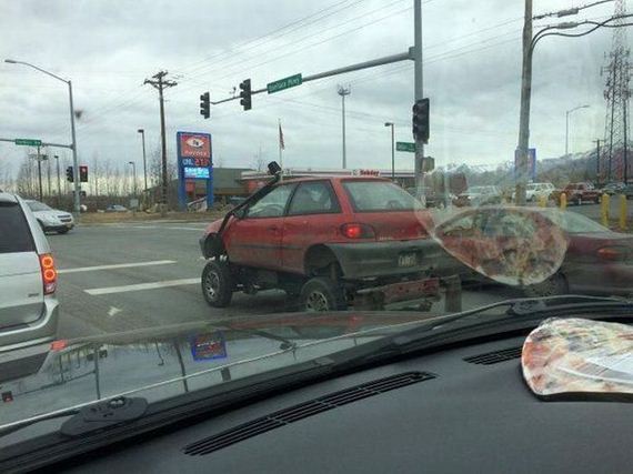 funny-pictures-996