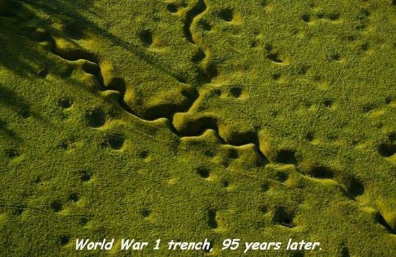 funny-pictures-996