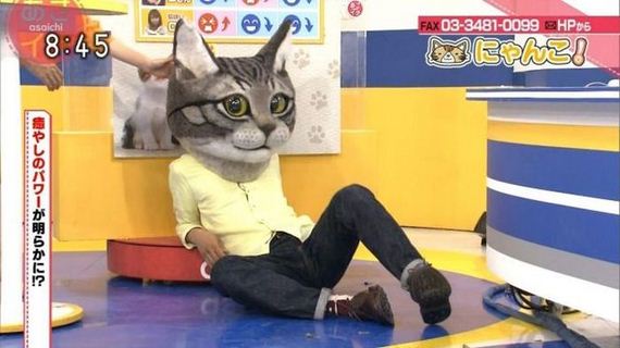 funny-pictures-996