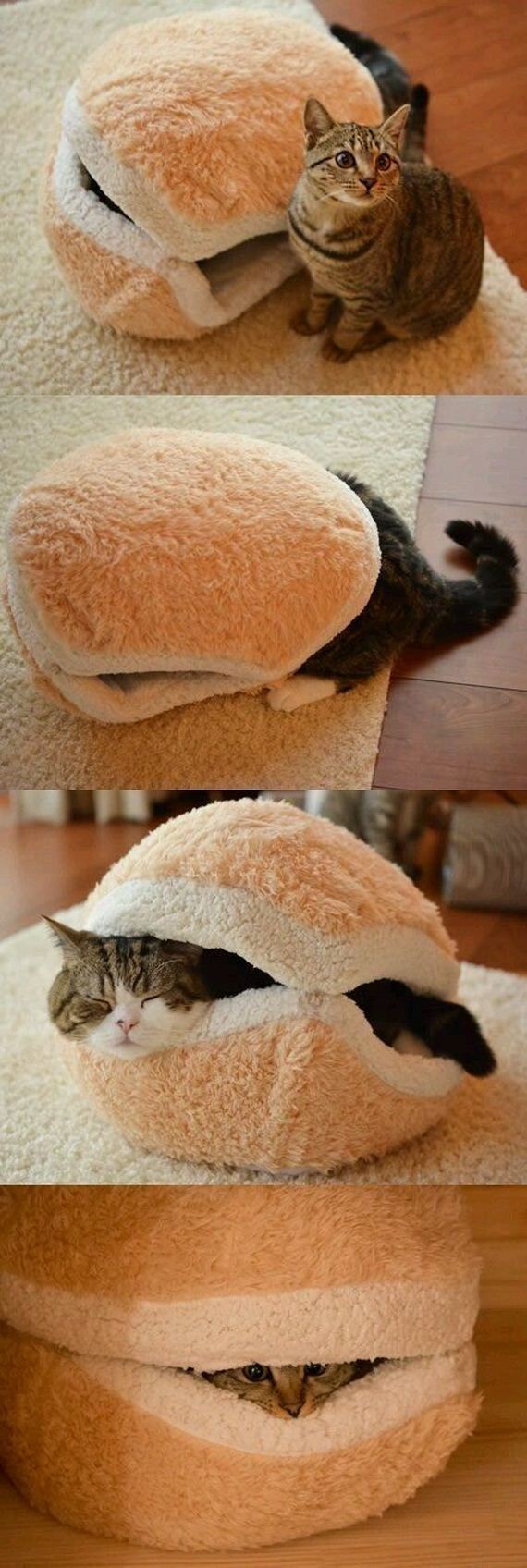 funny-pictures-998