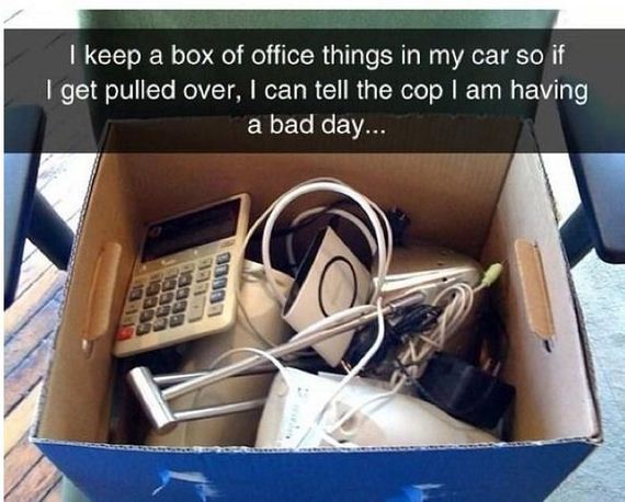 funny-pictures-998