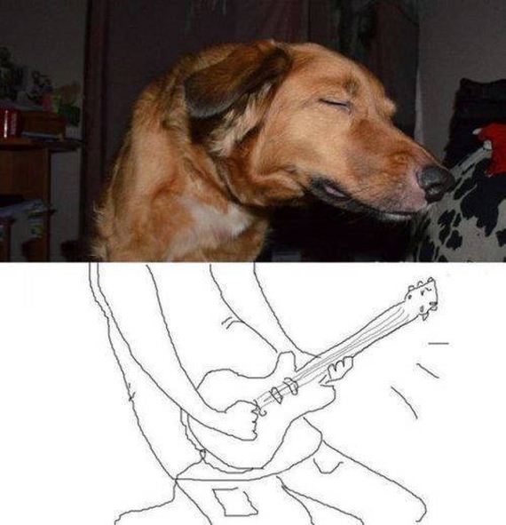 funny-pictures-998