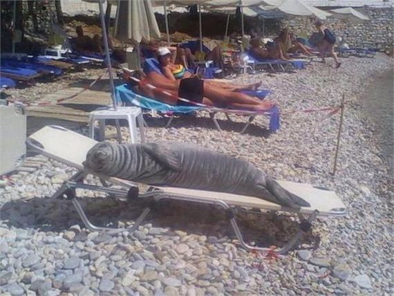 funny-pictures-999
