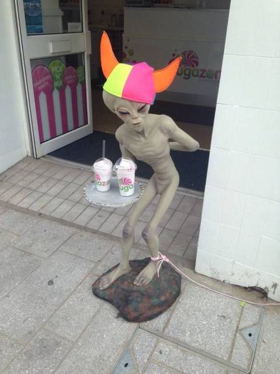 funny-pictures-999