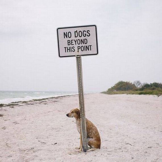 funny-pictures-999