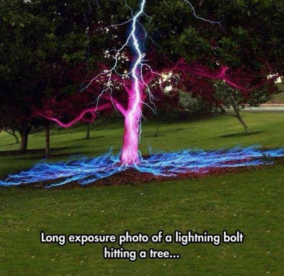 funny-pictures-999