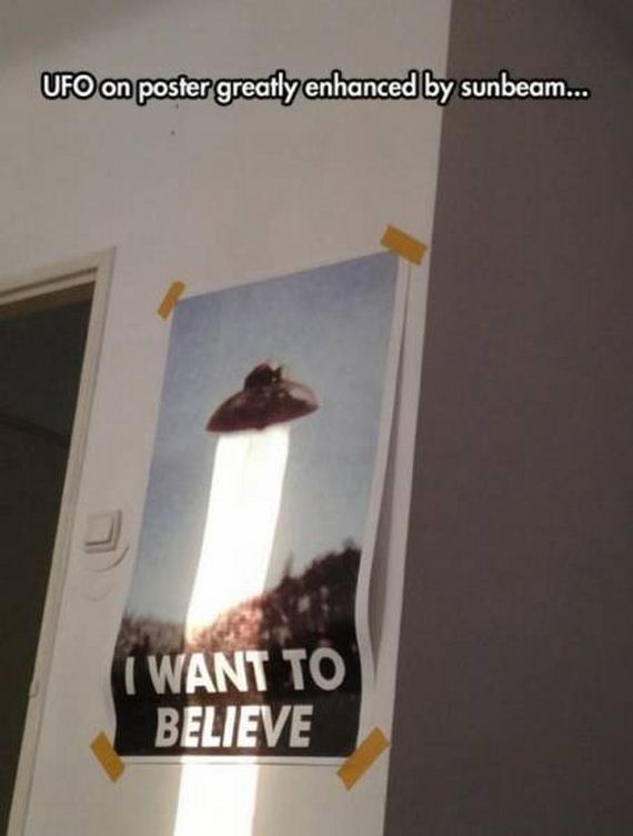 funny-pictures-999