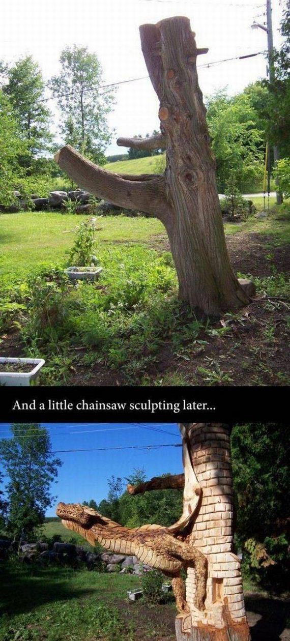 funny-pictures-999