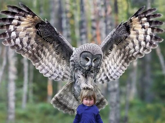 girl_holds_an_owl
