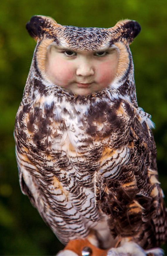 girl_holds_an_owl