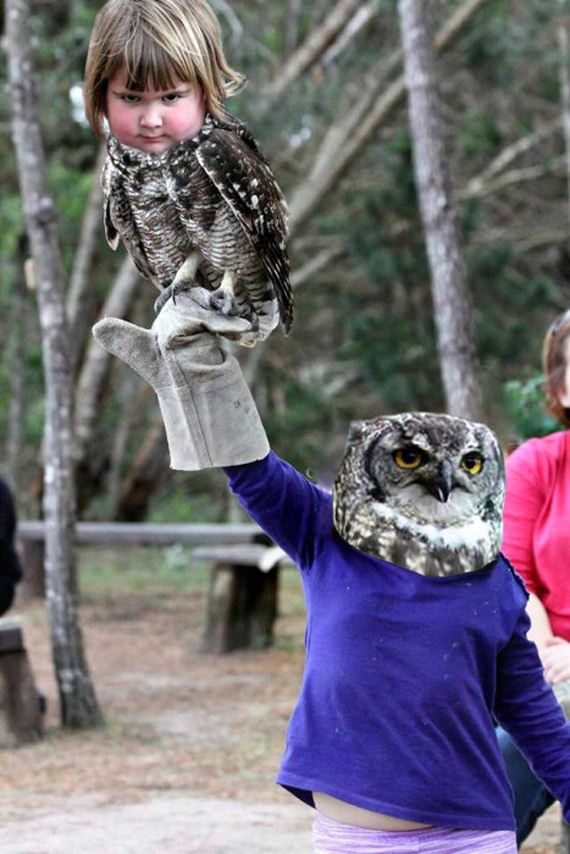 girl_holds_an_owl