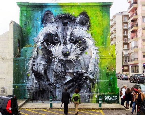 great_raccoon