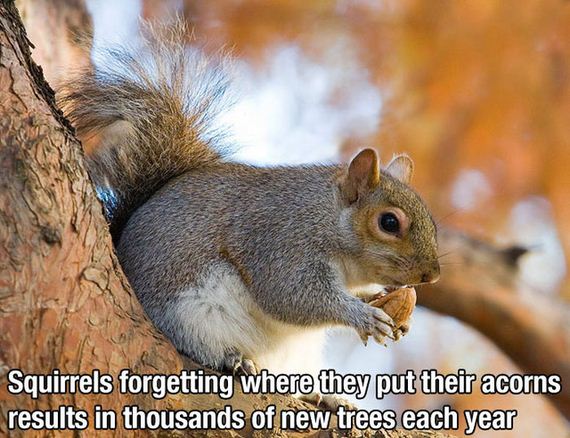 happy_facts
