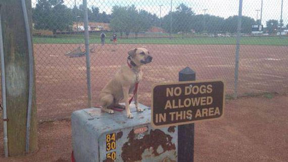 i_do_what_i_want_49