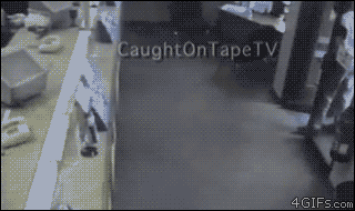 idiots-3