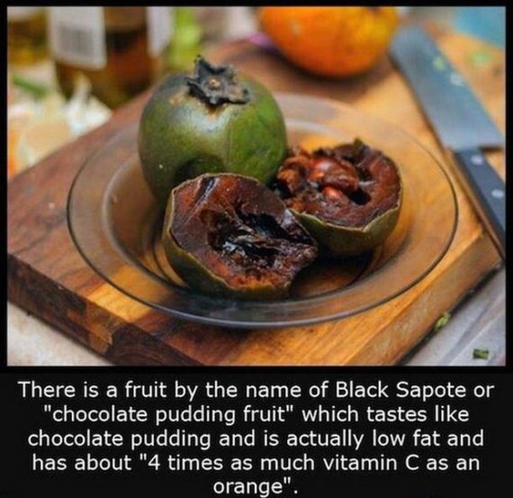 interesting_facts