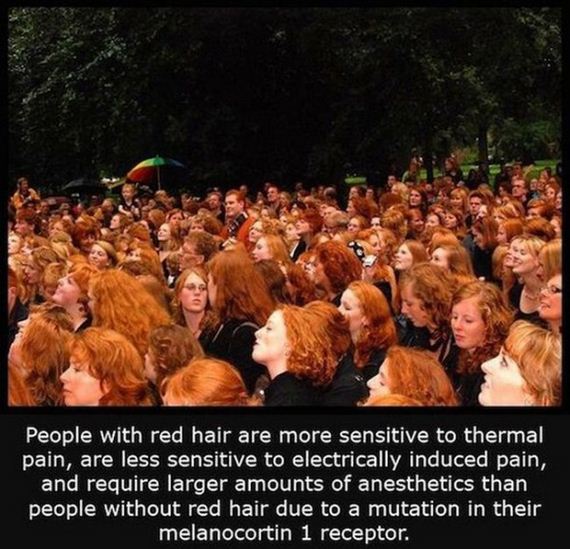 interesting_facts