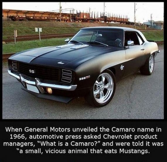 interesting_facts