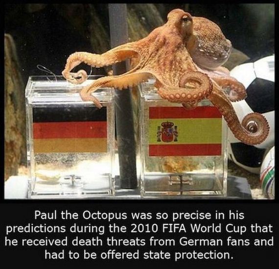 interesting_facts