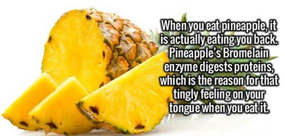 interesting_facts_05