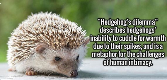 interesting_facts_05