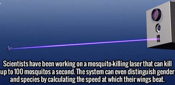 interesting_facts_05