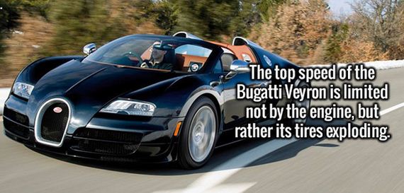 interesting_facts_05
