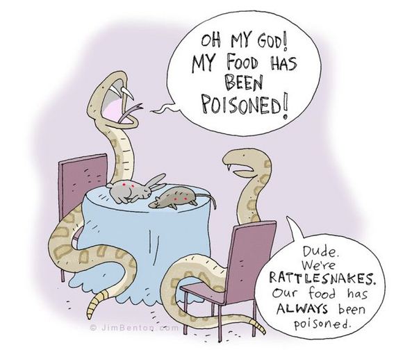jim_benton_cartoons