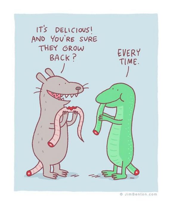 jim_benton_cartoons