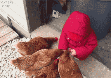 kids-are-the-definition-of-insanity