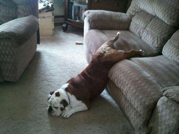 lazy