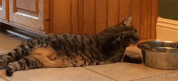 lazy