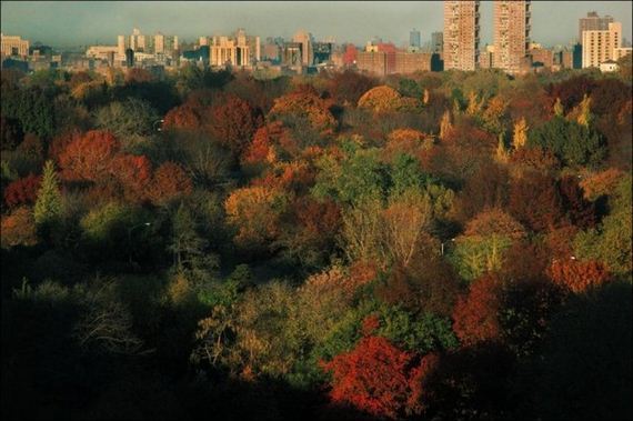 new_york_in_1983